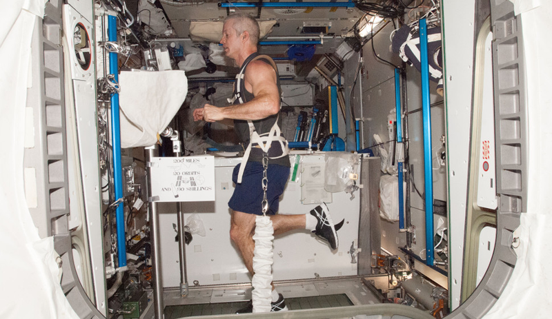 NASA astronaut Steve Swanson, equipped with a bungee harness, exercises on the T2 treadmill aboard the International Space Station (Image: NASA)